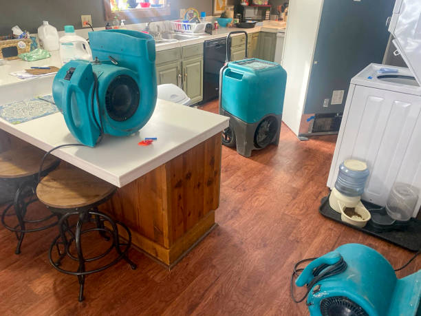 Best Water damage restoration near me  in Clifton, TN