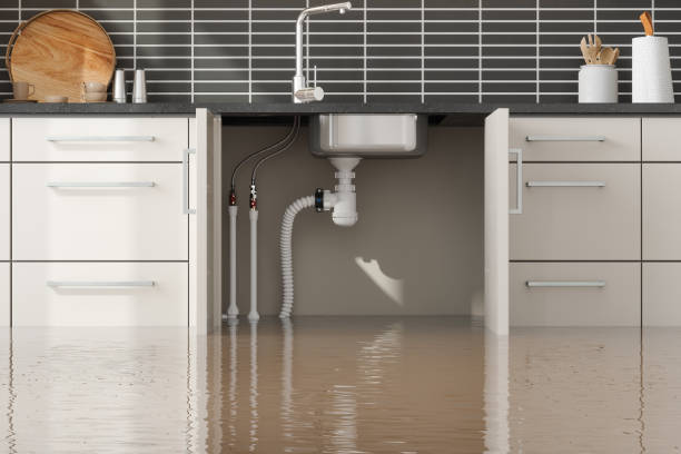  Clifton, TN Water damage restoration Pros