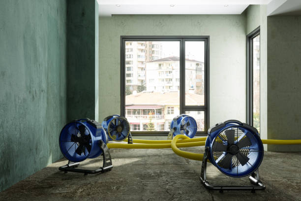  Clifton, TN Water damage restoration Pros